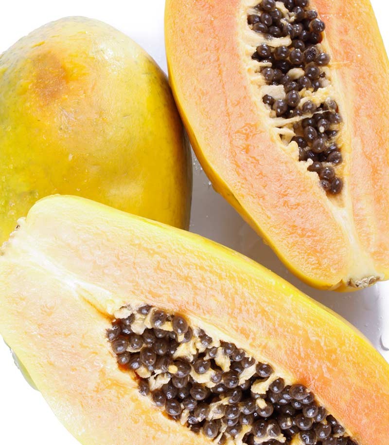 Papaya-Premium-330