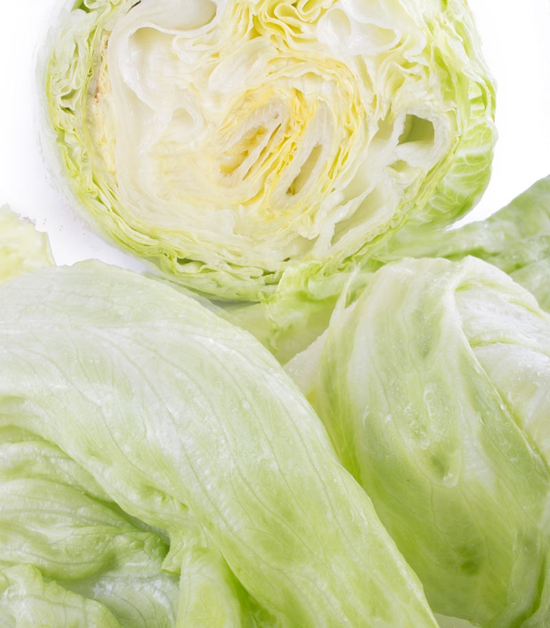 Lechuga-Iceberg-36