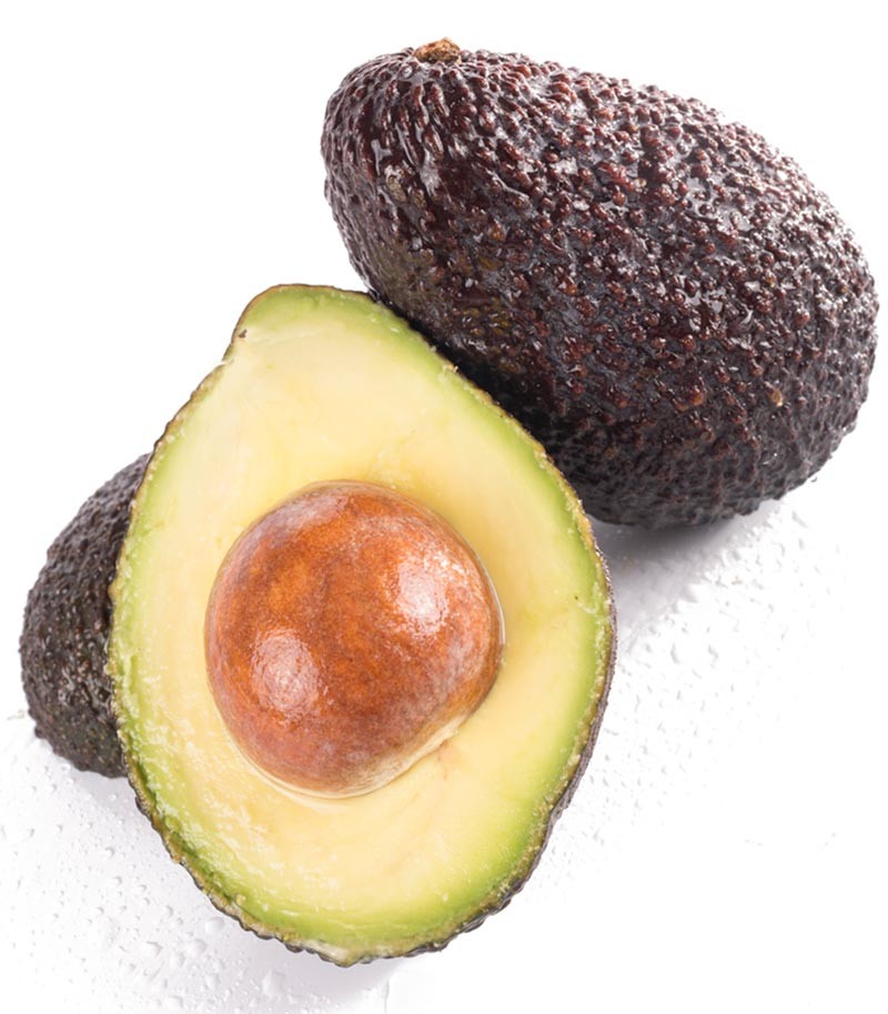 Aguacate-Premium-39