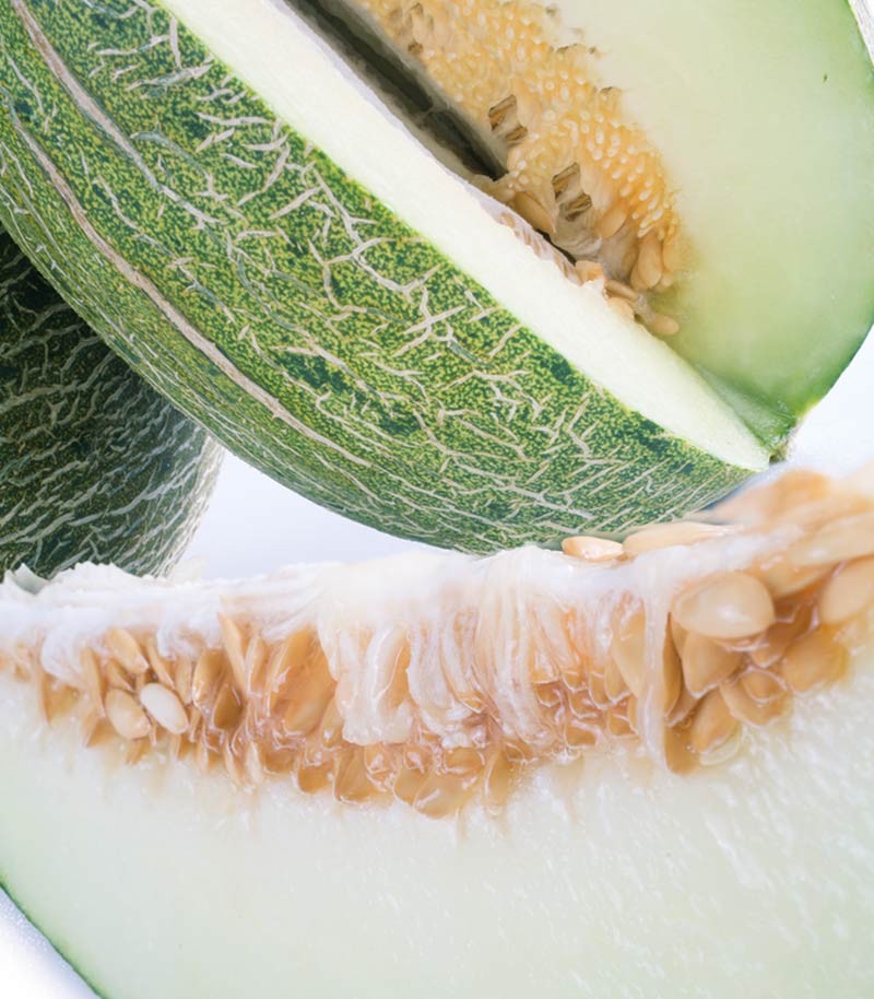 Melon-Piel-de-Sapo-EXTRA-46