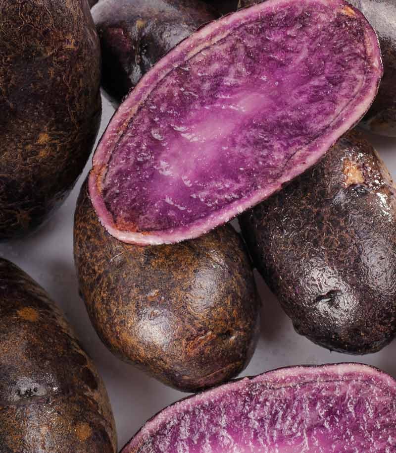 Patata-Violacea-471