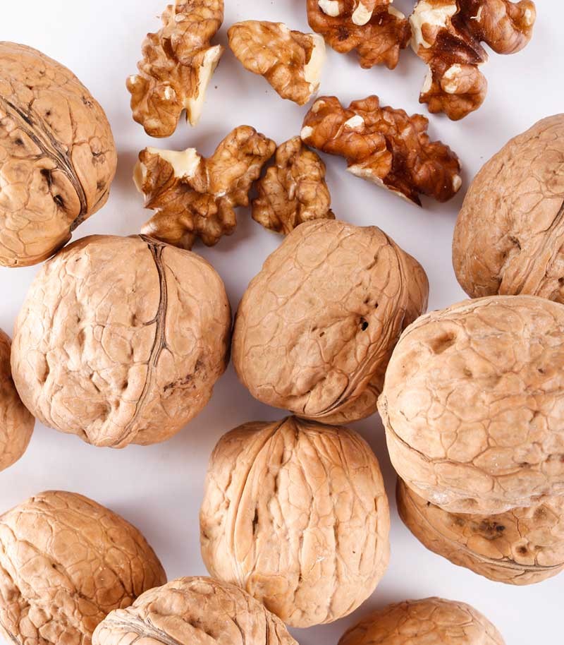 Nueces-Europeas-607