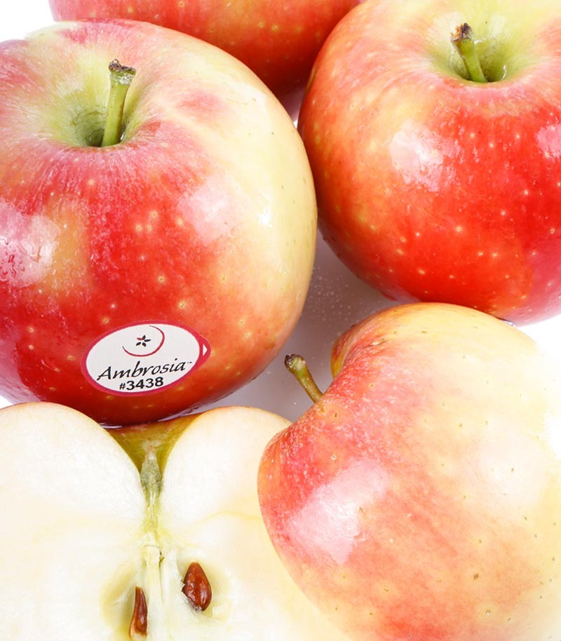 Manzana-Ambrosia-Premium-636