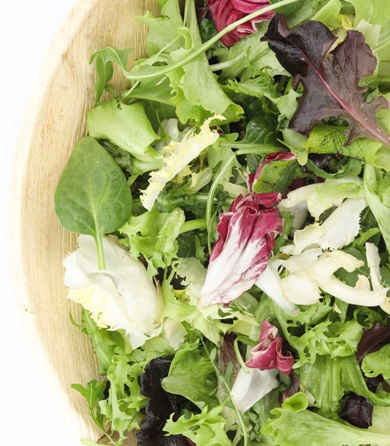 Bolsa-Ensalada-Mixta-642
