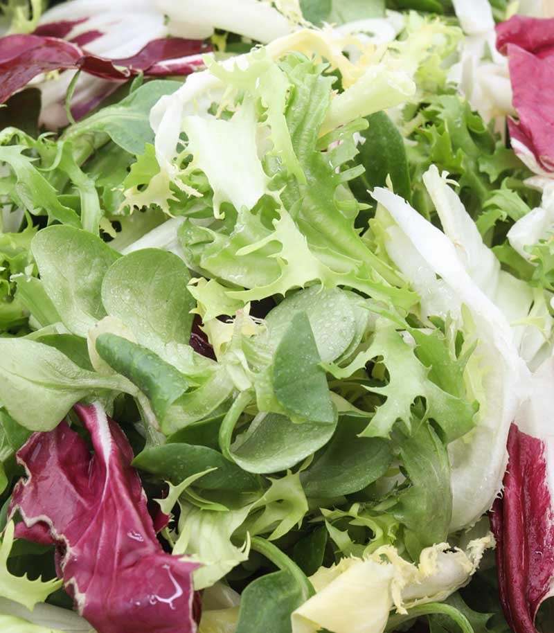 Bolsa-Ensalada-Gourmet-648