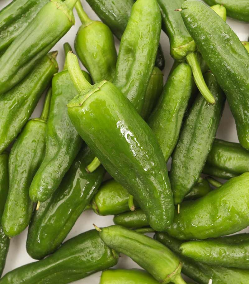 Pimientos-de-Gernika-660