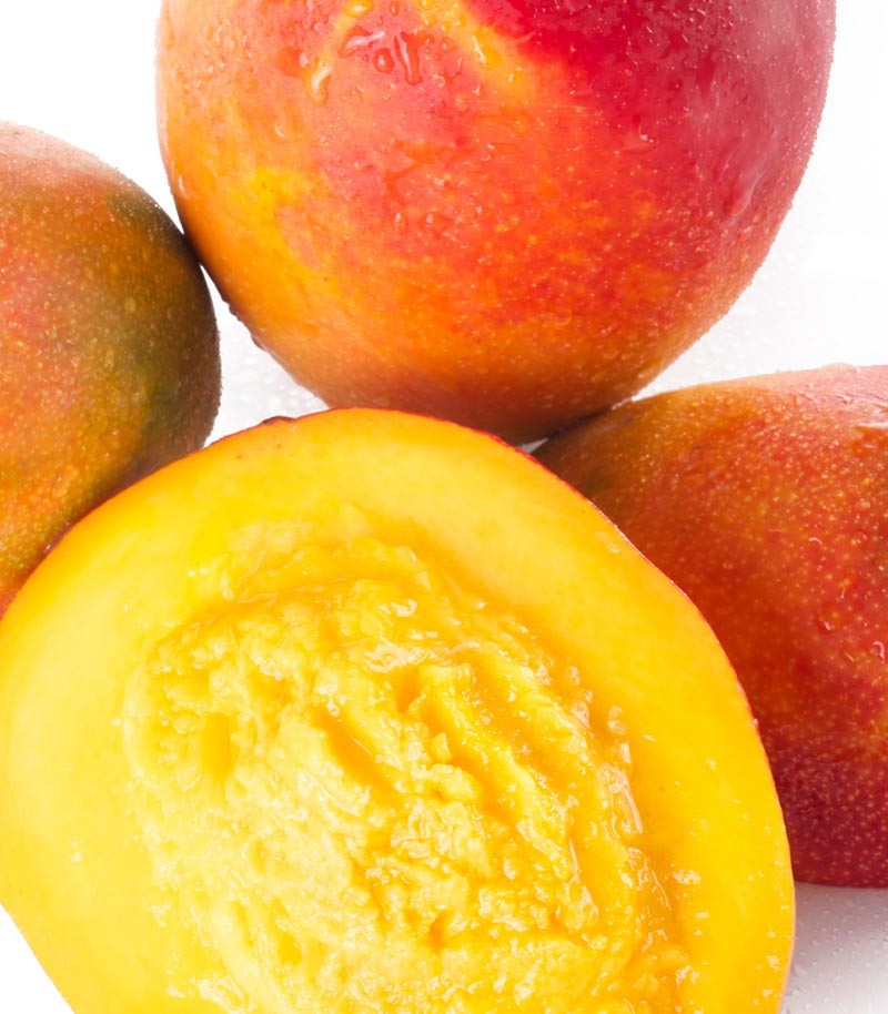 Mango-Extra-76